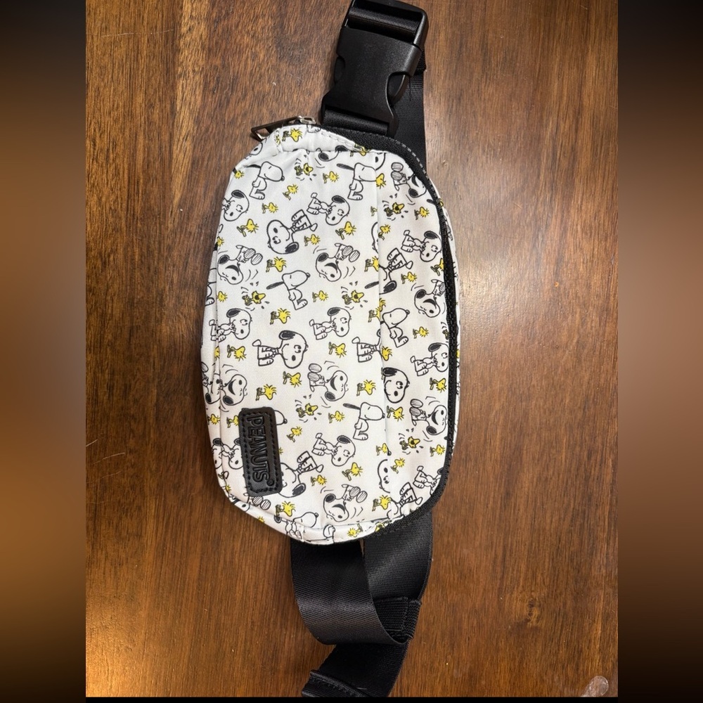 Belt bag